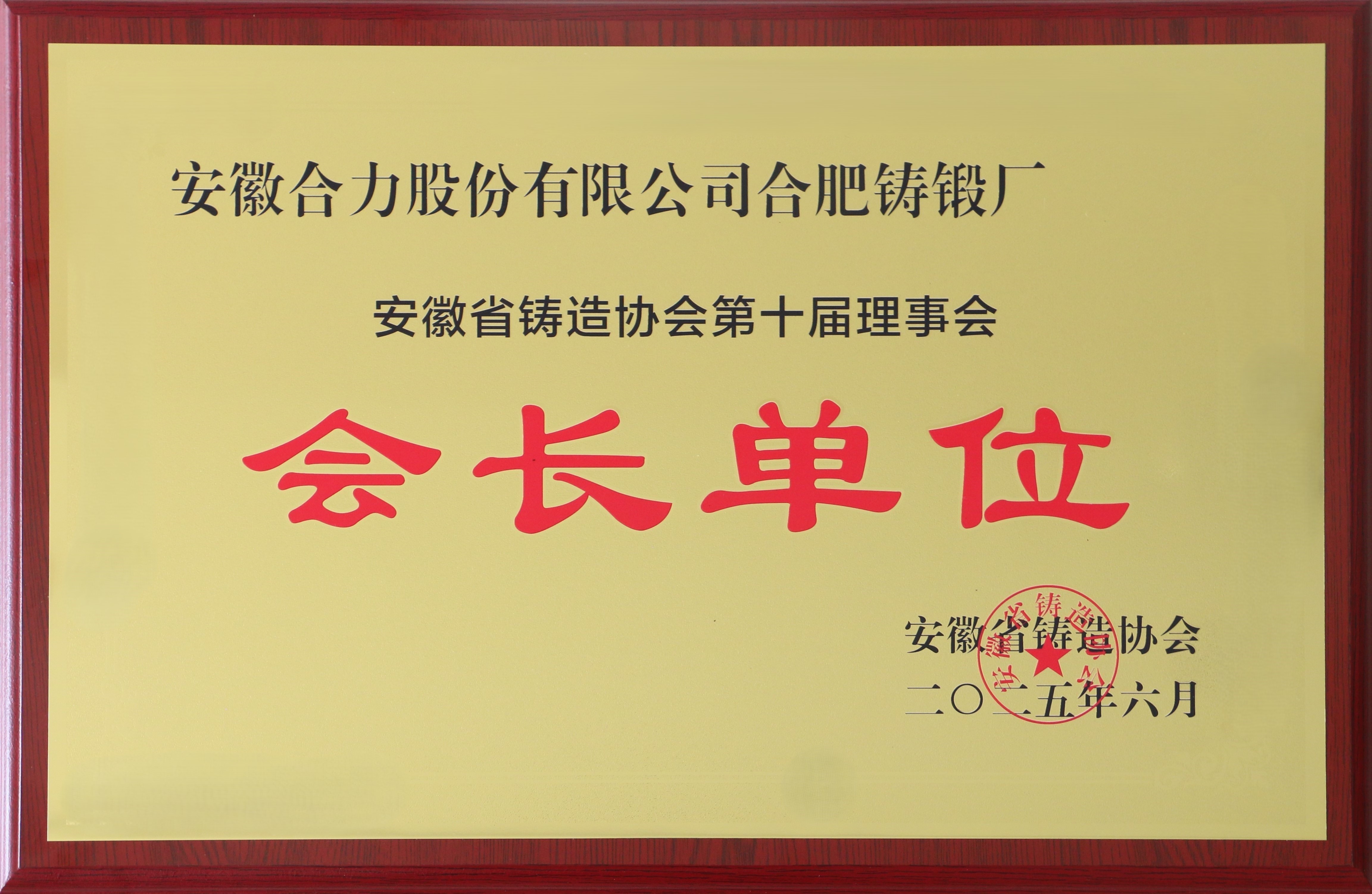 安徽省铸造协会第十届会长单位.jpg